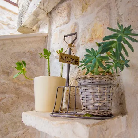Ivan Center Apartment Sibenik